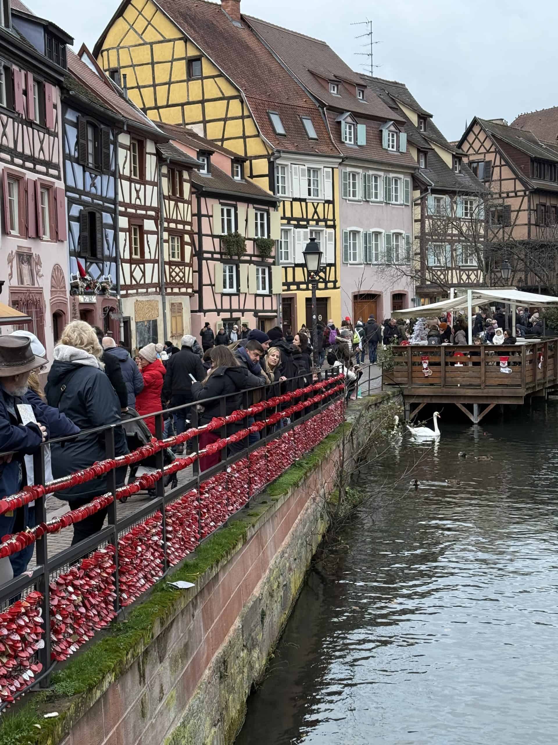Colmar France Half Timber Houses Canal and swans