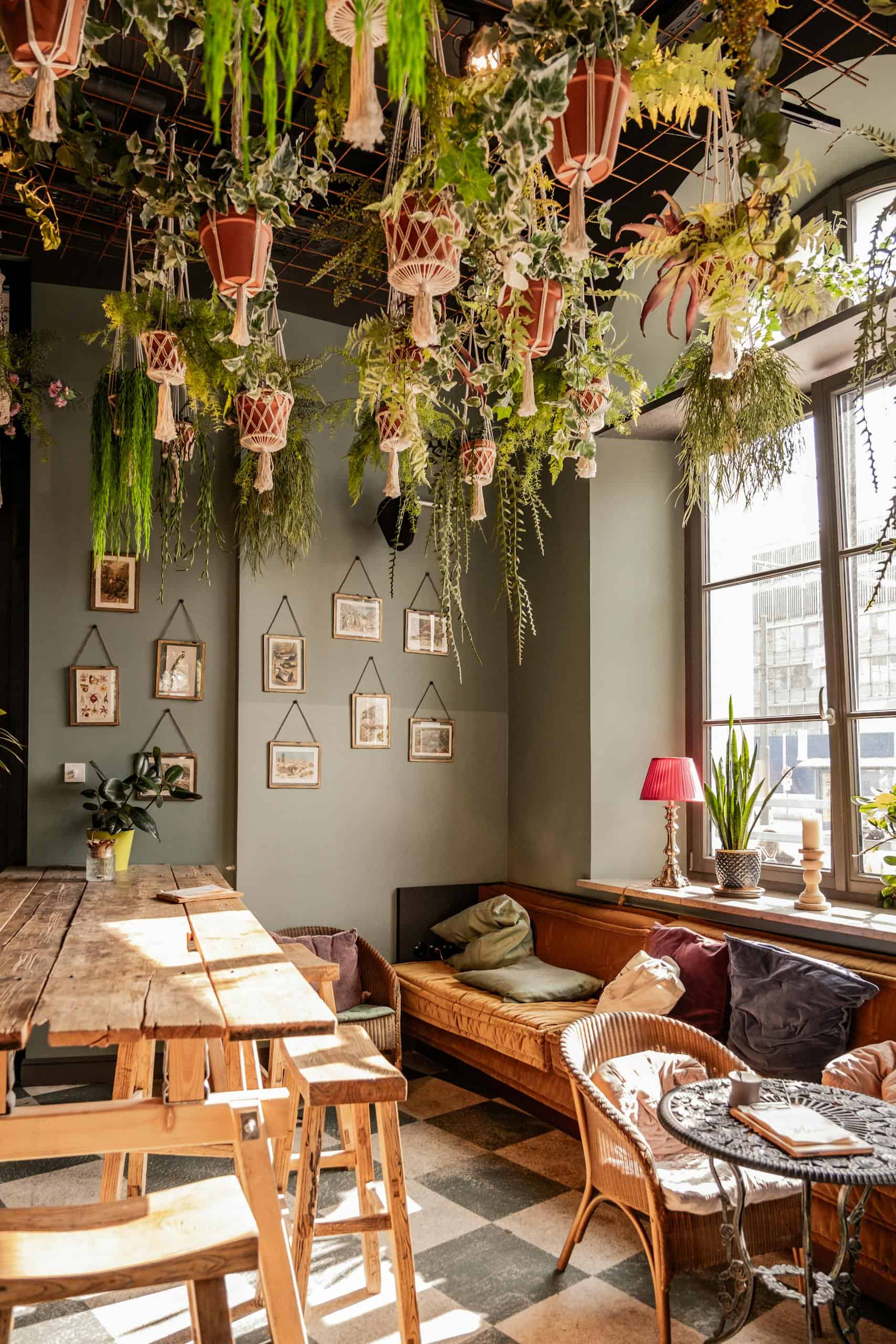 A warmly lit Munich café interior with hanging plants and wooden furniture.