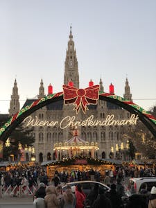 Festive Vienna Christmas Market bustling with visitors under city hall's grandeur.