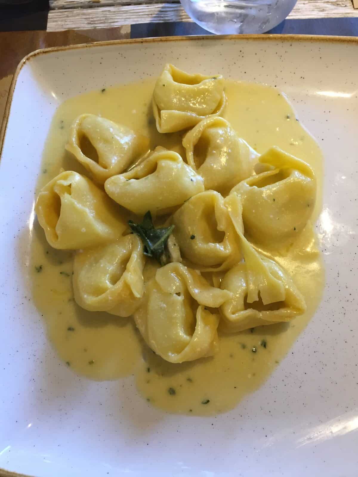 Delicious cheese tortellini served with rich creamy sauce, garnished with herbs.