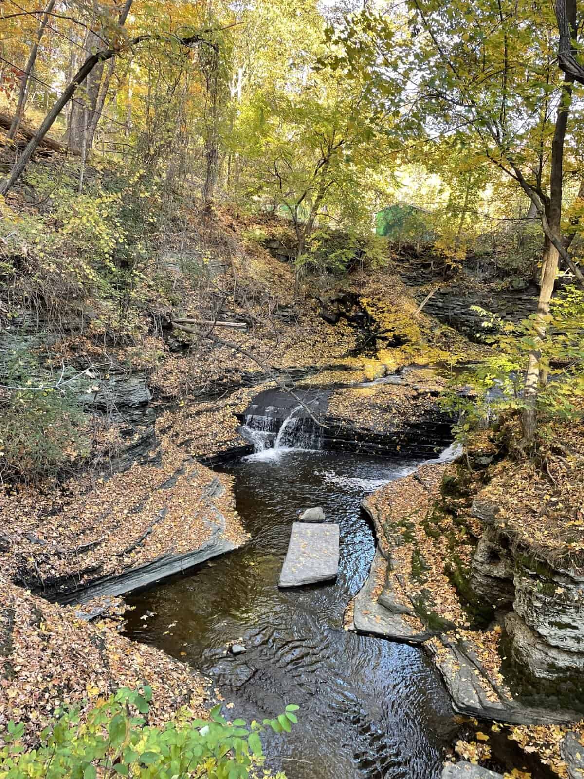 Small waterfall and winding creek along Cascadilla Gorge on Cornell University’s campus in Ithaca, NY surrounded by fall foliage