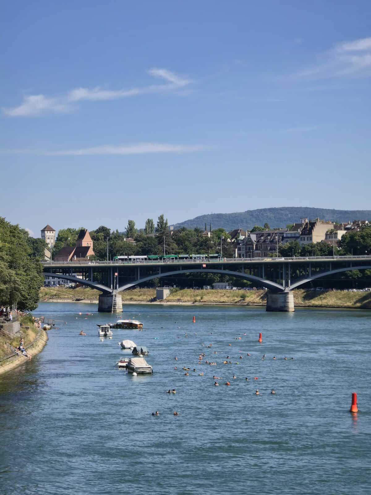 A lively summer scene on the Rhine River in Basel with swimmers and boats under a clear blue sky.