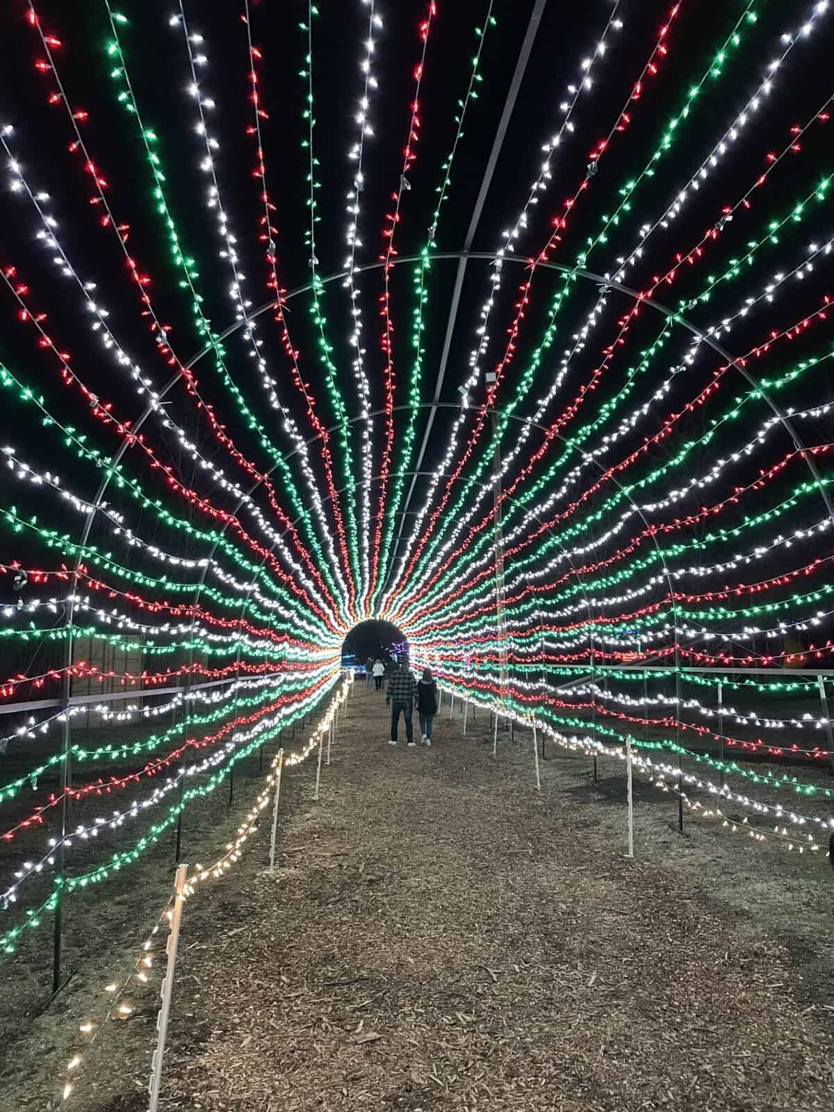 Walk through tunnel of red, green, and white lights at KC Wine Co Winter Wonderland Olathe KS