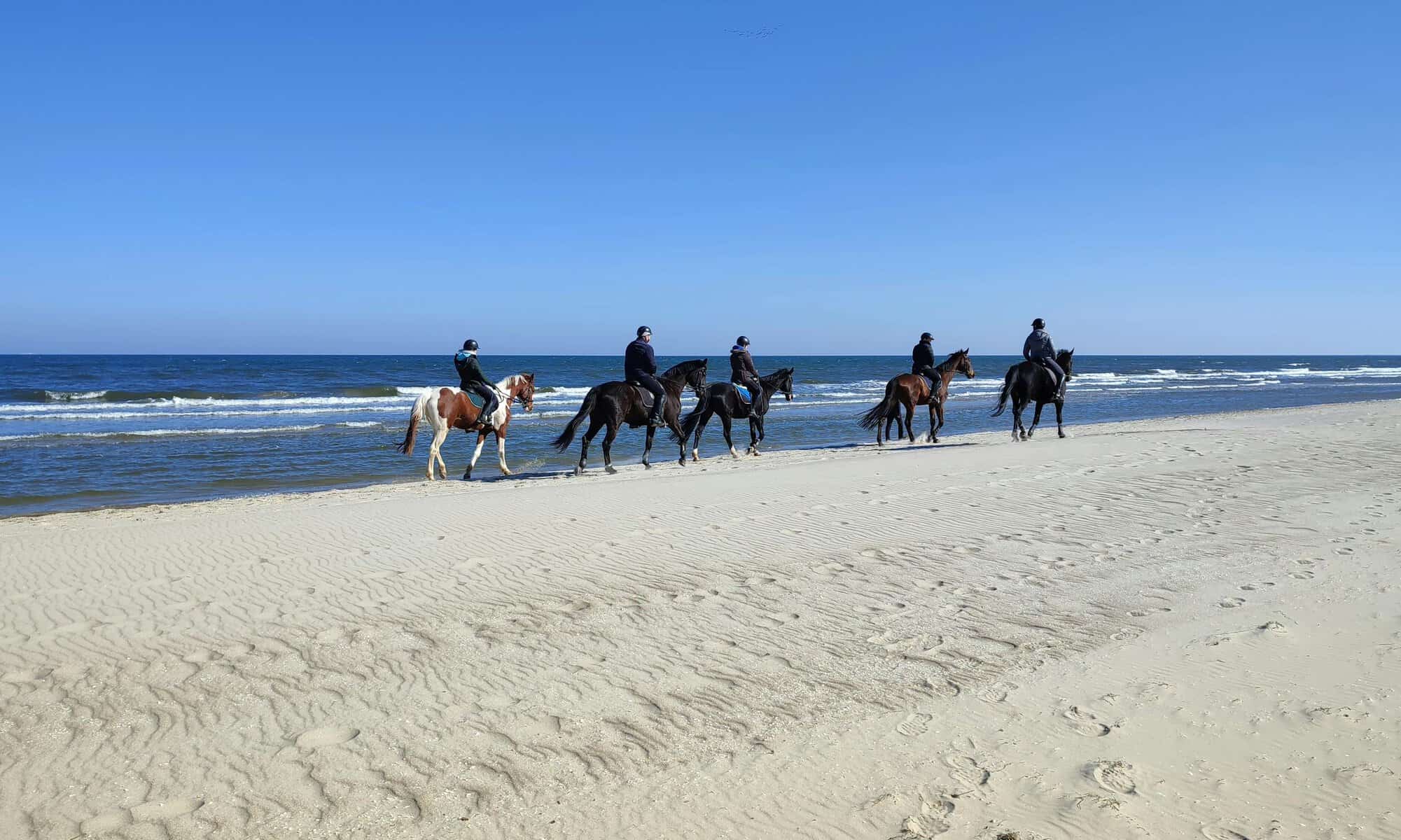 People enjoying a horseback ride on a sunny beach shore under a clear blue sky.