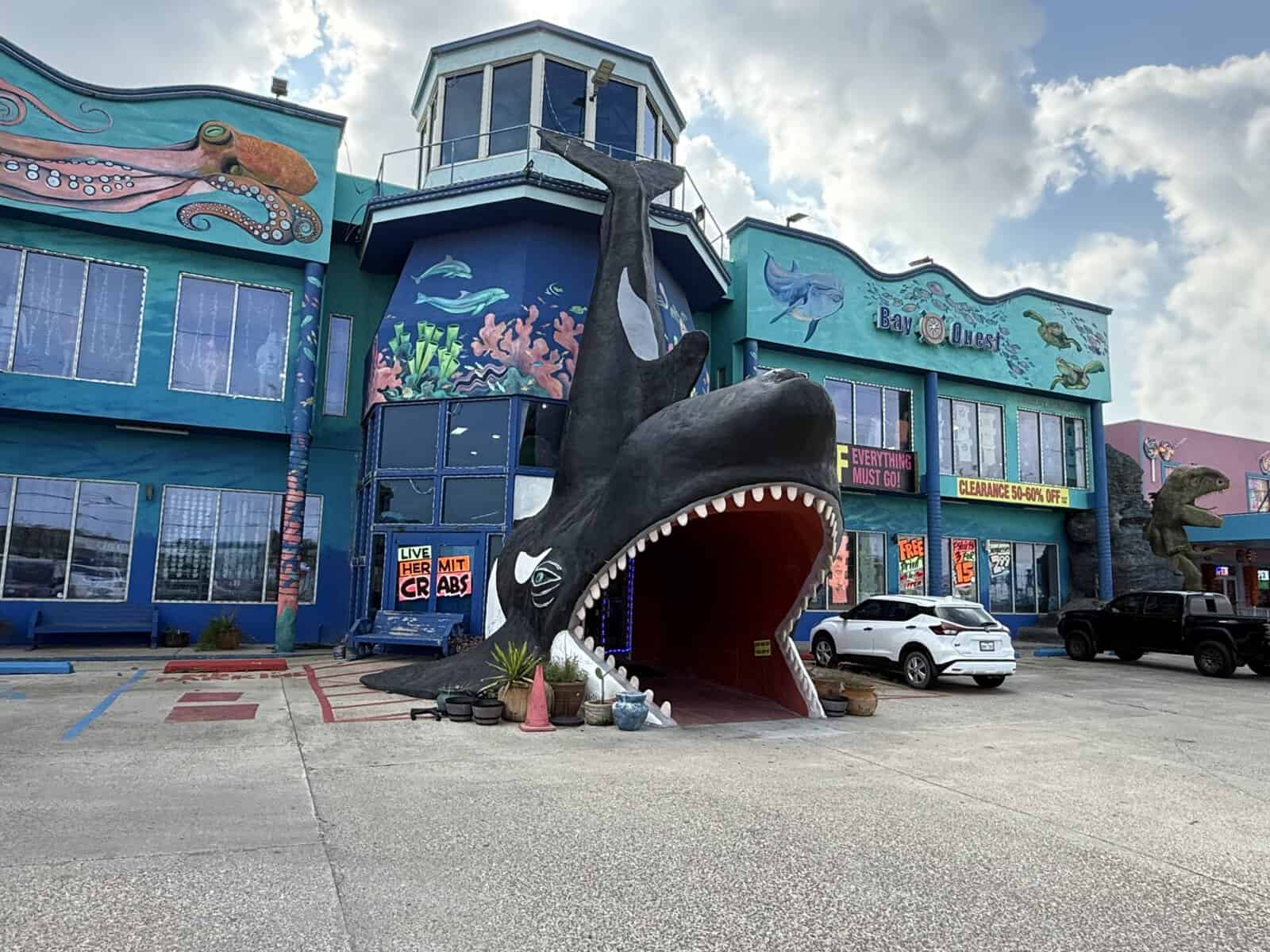 Colorful souvenir shop with giant whale entrance and ocean murals in South Padre Island