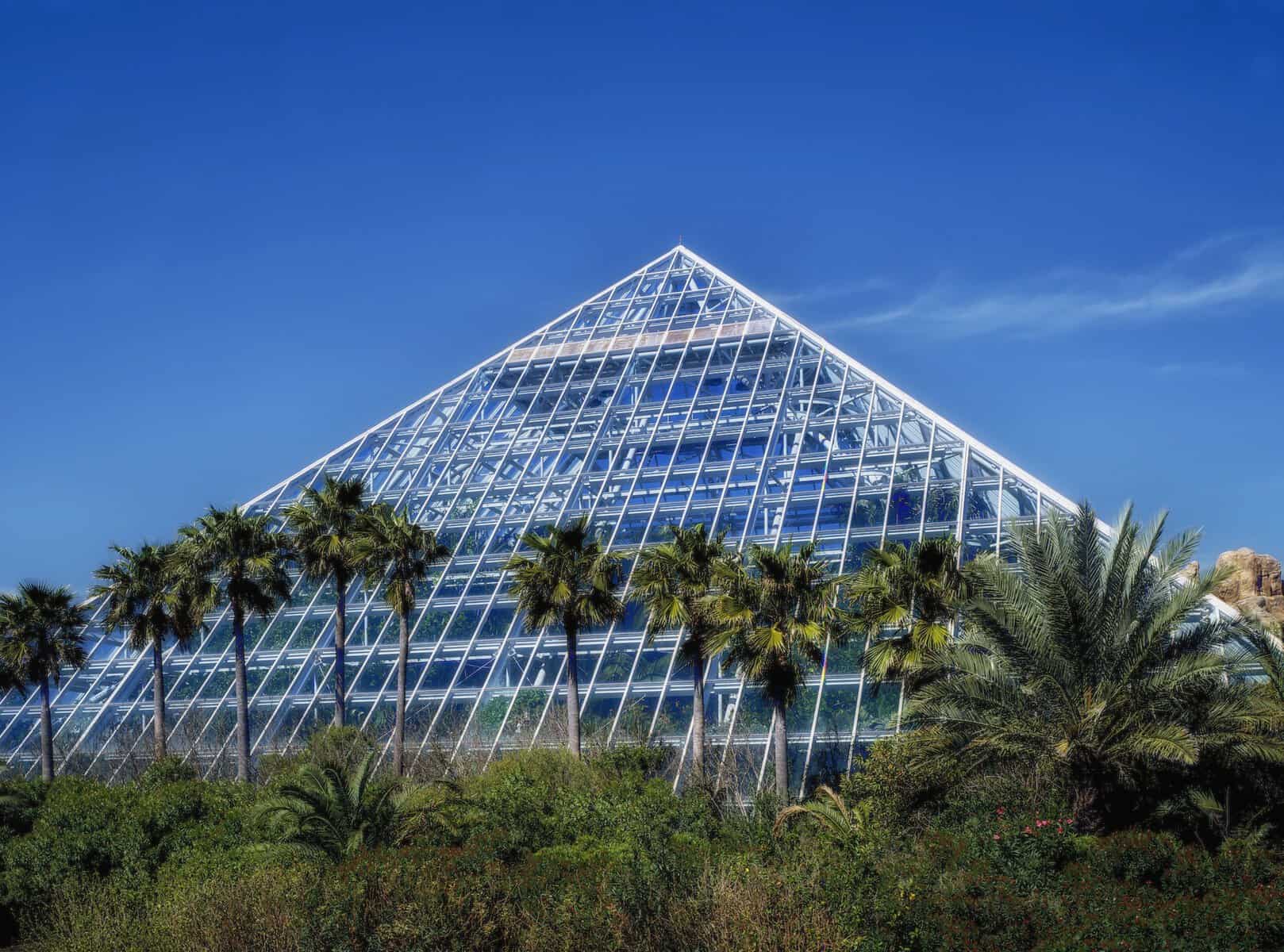 Moody Gardens glass pyramid surrounded by palm trees in Galveston, Texas