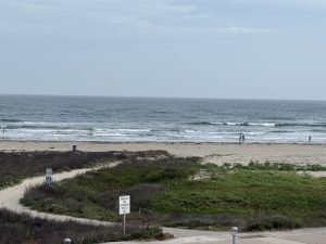 Path leading to Galveston beach with ocean views and sandy shoreline