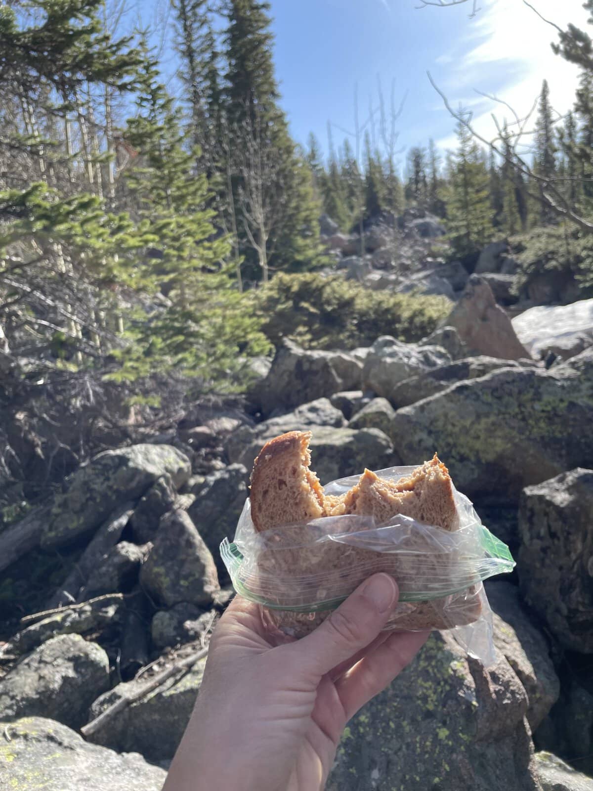 Hand holding a sandwich in a mountain forest setting with rocks, pine trees, and sunlight during a scenic outdoor picnic stop.