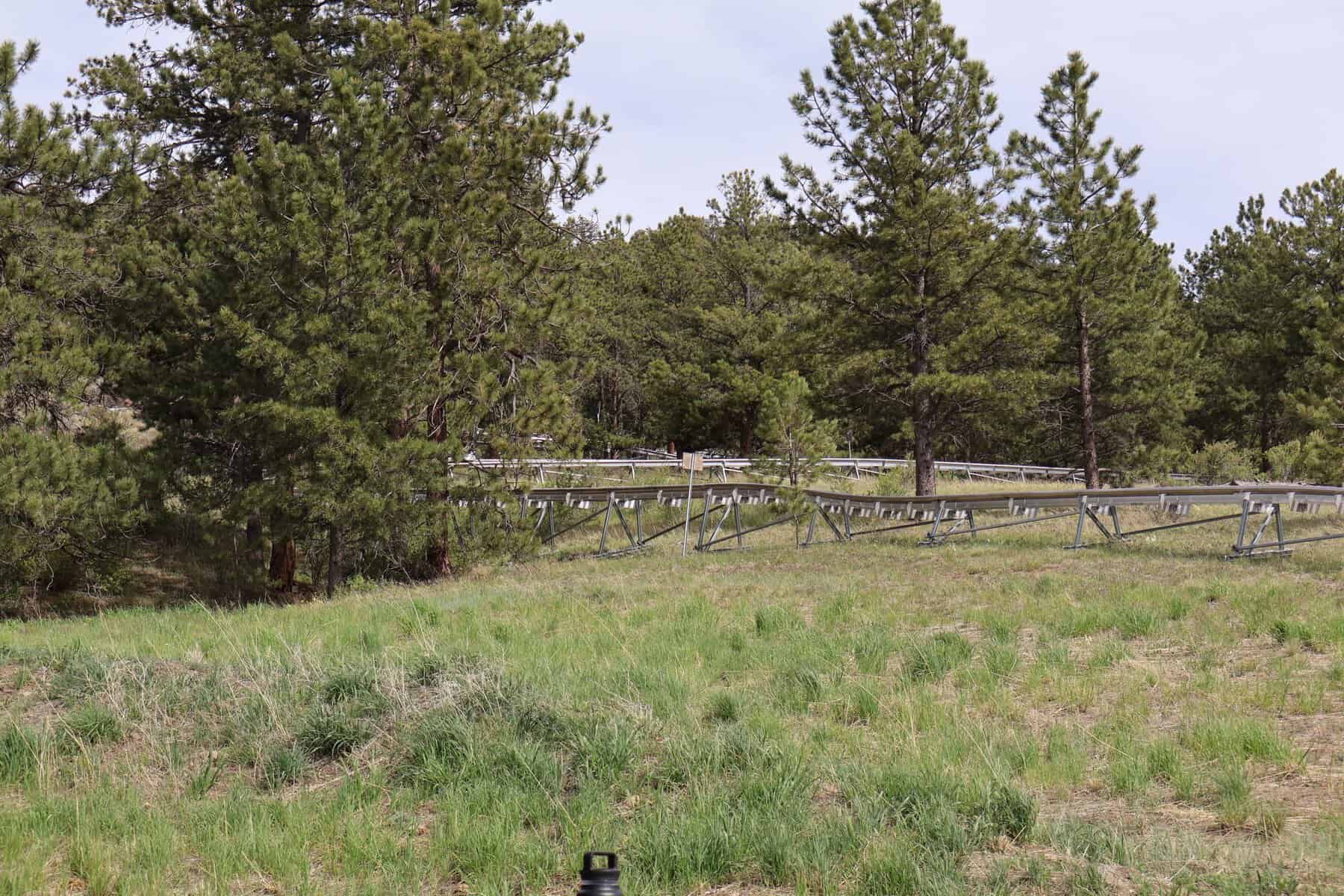 Mustang Mountain Coaster winding through the trees in Estes Park, Colorado.
