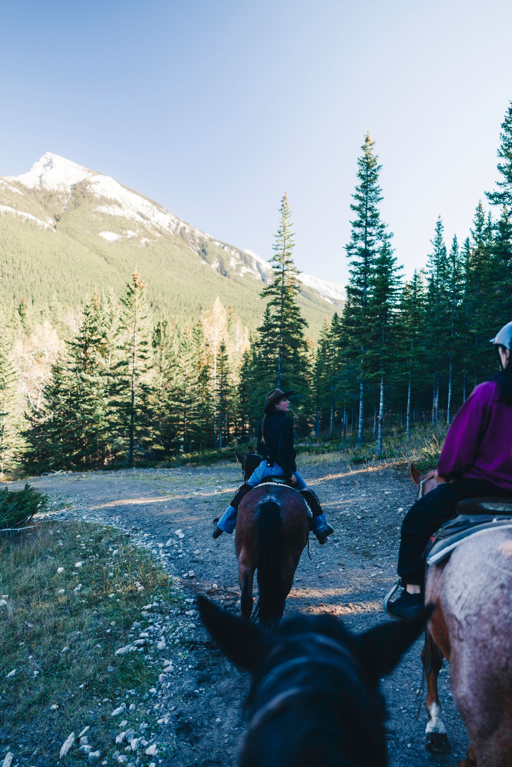 Experience the serene beauty of moutaians on a horseback adventure.