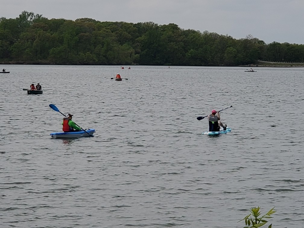 Kayakers and paddleboarders enjoying a day on the water.