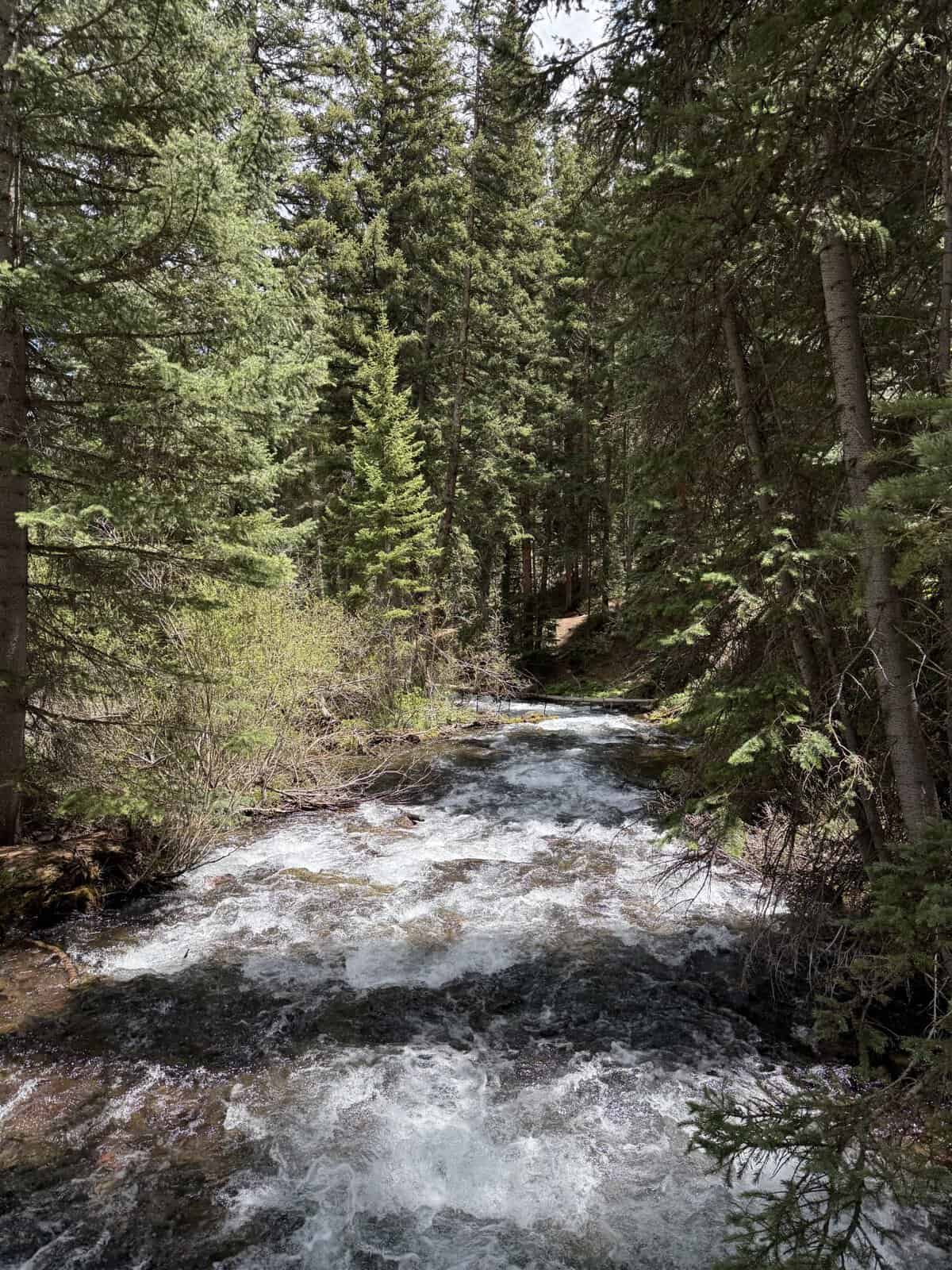 Mountain stream flowing through pine forest near Maroon Bells in Colorado