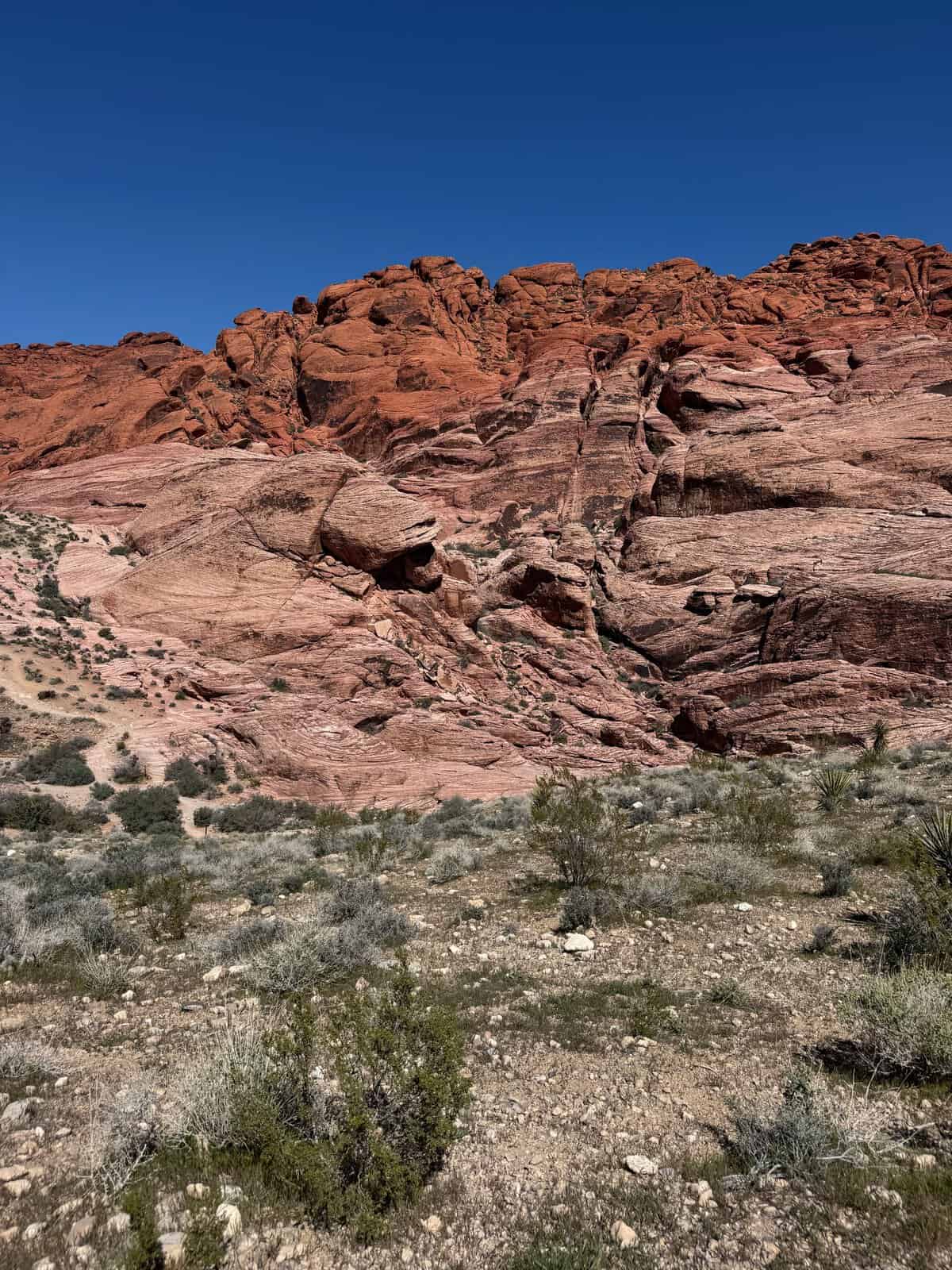 Stunning view of Red Rock Canyon's vivid geological formations under clear blue skies.