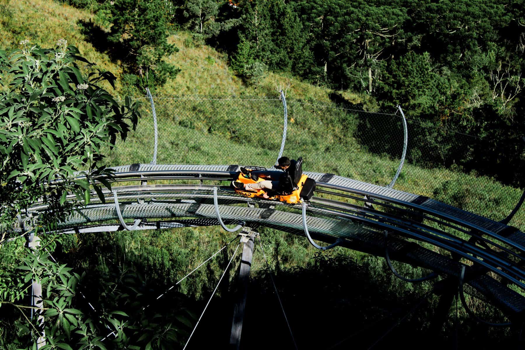 Thrilling mountain coaster ride through lush landscapes.