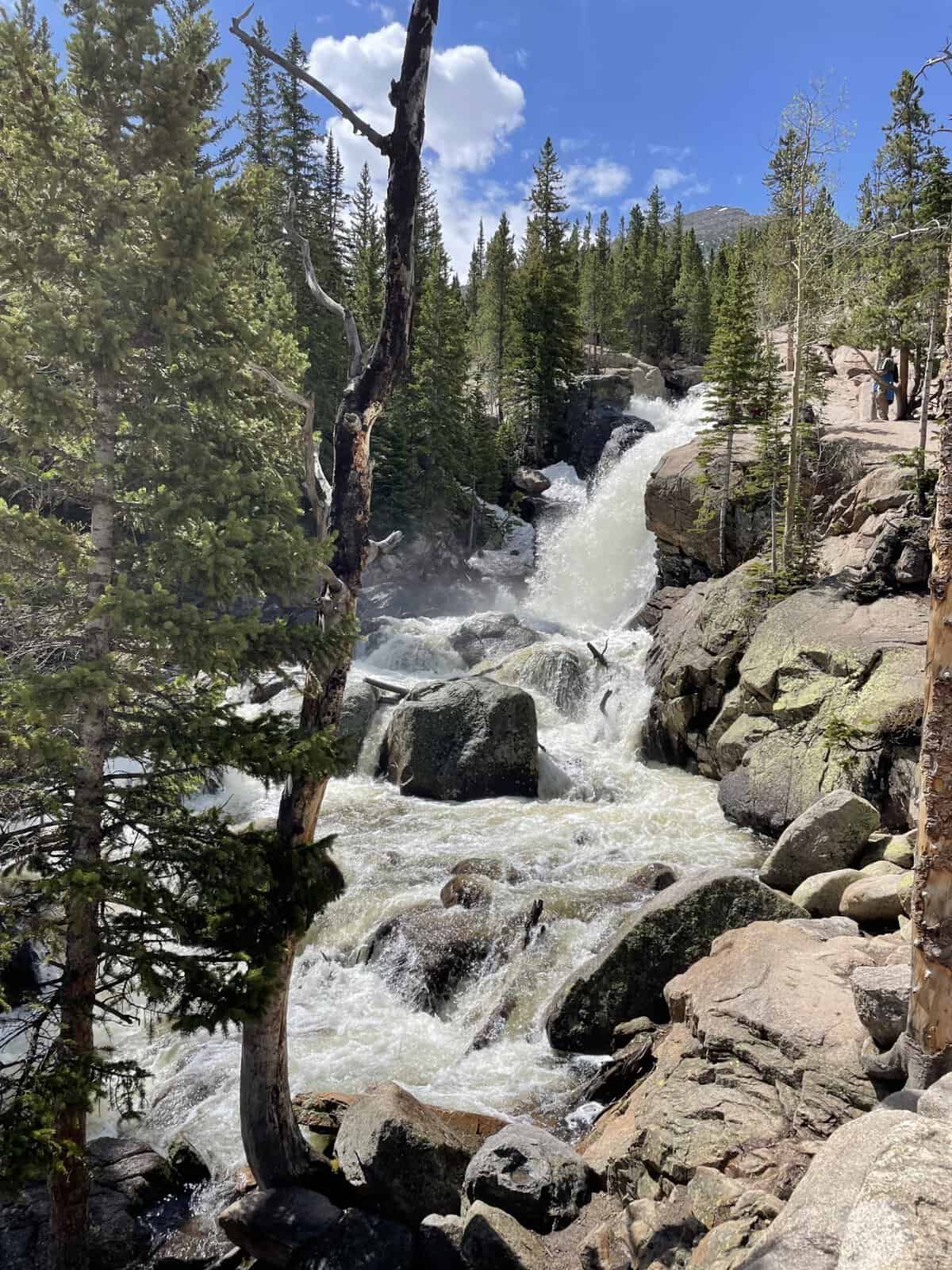 Alberta Falls cascading through rocky cliffs in Rocky Mountain National Park